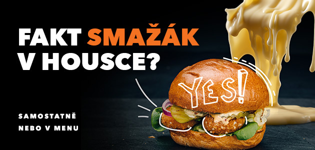 Fakt smažák v housce?