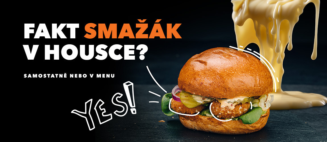 Fakt smažák v housce?